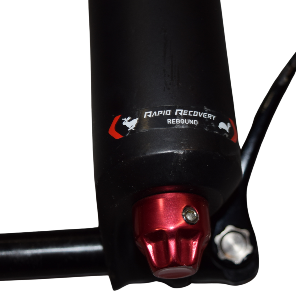 Rock Shox Pike RCT3 Mountain Bike Fork