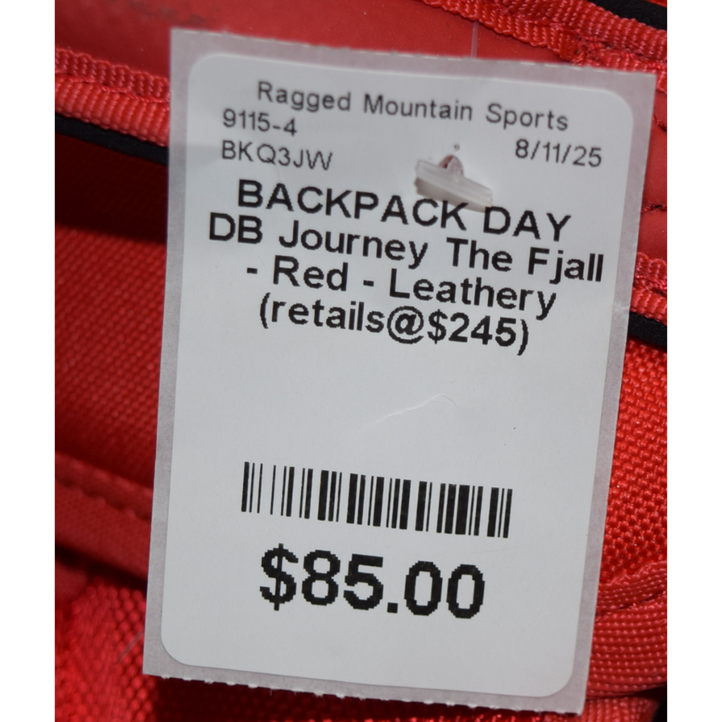 Fjall Raven DB Journey Backpack
