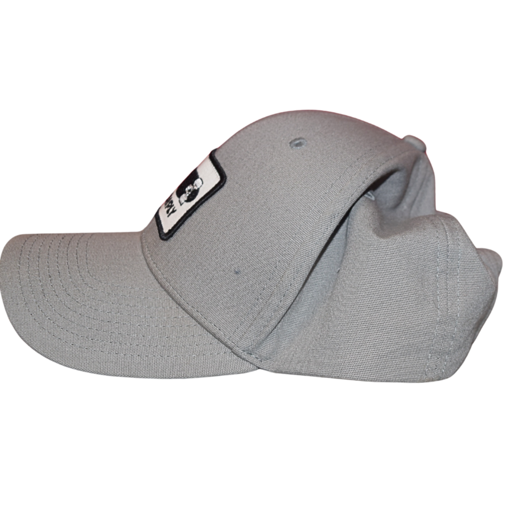 Patagonia Hat