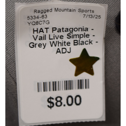 Patagonia Hat