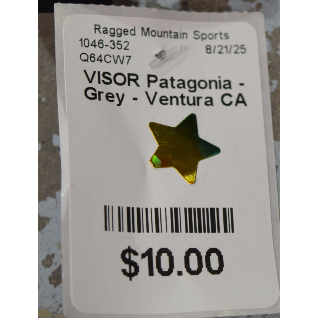 Patagonia Visor